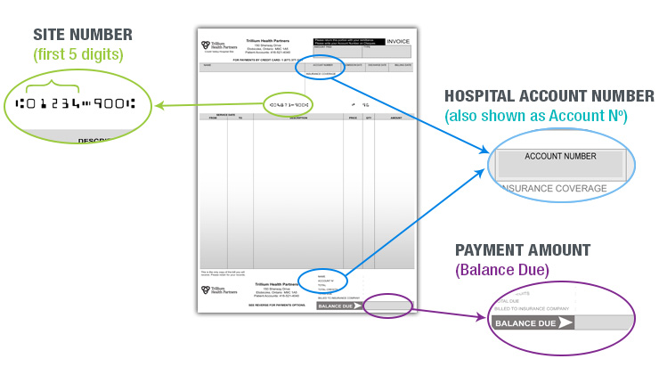 Site number (pre-printed number, appears just below the patient’s address field – use only first 5 digits, no dashes or spaces), Patient account number (also shown as Account Number) and Payment Amount (shown as Balance Due at the bottom-right of the invoice)